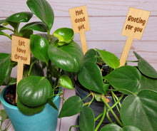 Load image into Gallery viewer, Funny Plant Stakes