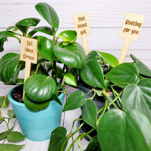 Load image into Gallery viewer, Funny Plant Stakes
